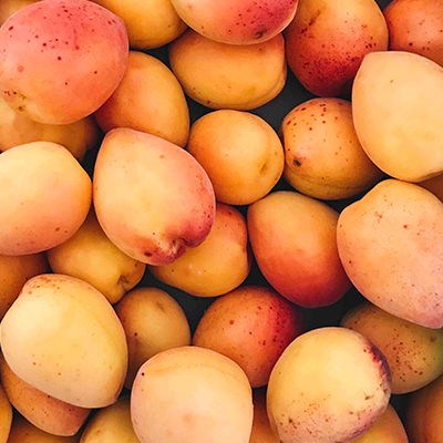 fresh mangos